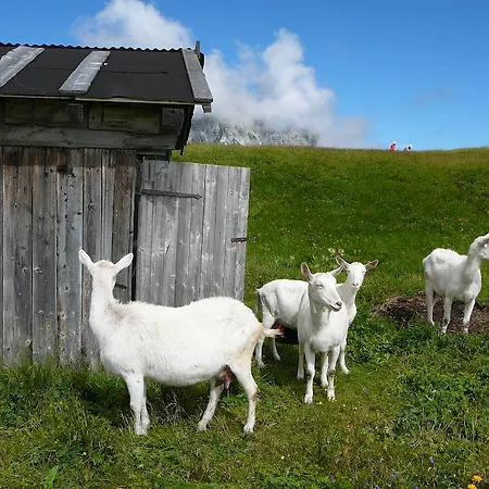 Haus Bergfried アパート *